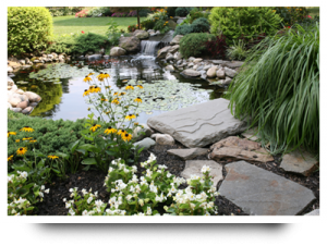 Landscaping_MS_Waterfeatures